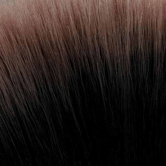 SIGNATURE BLOWOUT PACKAGE